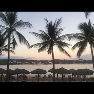 Meet your Posher, Terri-lynn